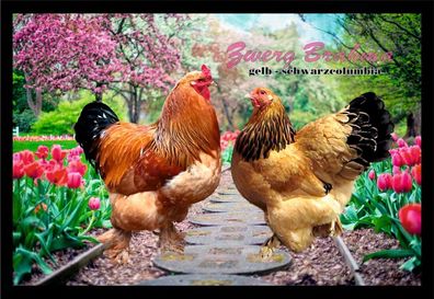 Fußmatte Schmutzfangmatte Hühner Zwerg Brahma gelb schwarzcolumbia F1400 60x40 c