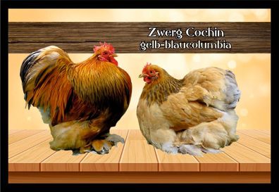 Fußmatte Schmutzfangmatte Hühner Zwerg Cochin gelb blaucolumbia F1387 75x50 cm