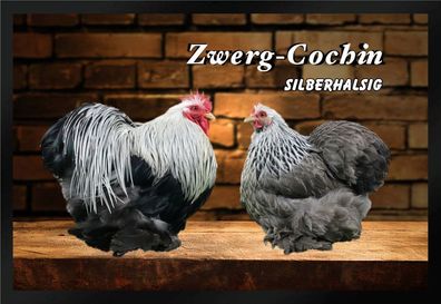 Fußmatte Schmutzfangmatte Hühner Zwerg Cochin silberhalsig F1383 75x50 cm