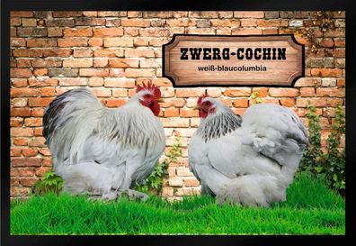 Fußmatte Schmutzfangmatte Hühner Zwerg Cochin weiß blaucolumbia F1381 60x40 cm