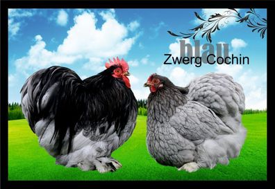 Fußmatte Schmutzfangmatte Hühner Zwerg Cochin blau F1364 75x50 cm