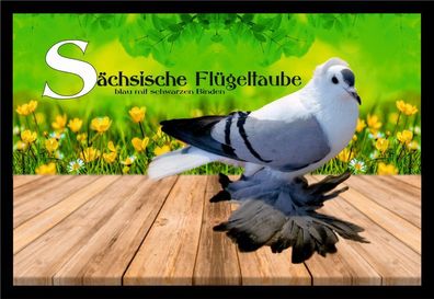 Fußmatte Schmutzfangmatte Tauben Sächs. Flügeltaube blau m.s.B. F1366 60x40 cm