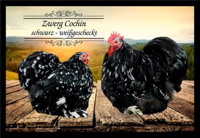 Fußmatte Schmutzfangmatte Hühner Zwerg Cochin schwarz weißgescheckt F1362 60x40