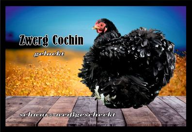 Fußmatte Schmutzfangmatte Hühner Zwerg Cochin gel. schwarz weißgesch. F1363 75x5