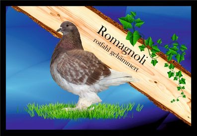 Fußmatte Schmutzfangmatte Taube Romagnoli rotfahl gehämmert F1357 75x50 cm