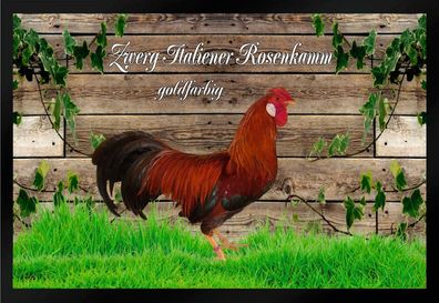 Fußmatte Schmutzfangmatte Hühner Zwerg Italiener Rosenkamm goldfarbig F1339 75x5