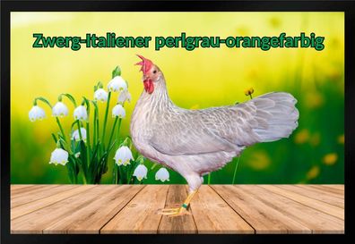 Fußmatte Schmutzfangmatte Hühner Zwerg Italiener perlgrau orangefarbig F1325 60x