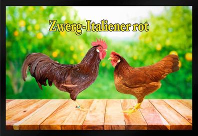 Fußmatte Schmutzfangmatte Hühner Zwerg Italiener rot F1326 60x40 cm