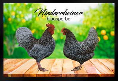 Fußmatte Fußmatte Hühner Niederrheiner blausperber F1307 60x40 cm