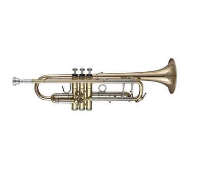 B&S 3137/2G Challenger II Trompete
