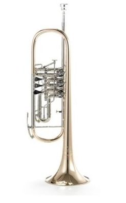 B&S 3005/3WTR-L in B