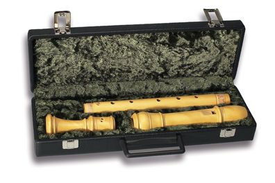 Mollenhauer 7103 Etui Tenorblockflöte
