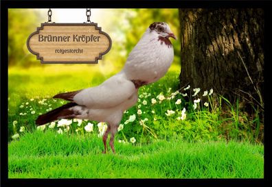 Fußmatte Schmutzfangmatte Tauben Brünner Kröpfer rotgestorcht F2421 60x40 cm