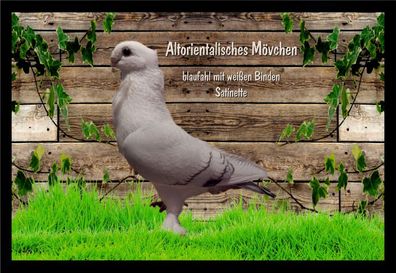 Fußmatte Schmutzfangmatte Tauben Altoriental. Mövchen blauf. m.w.B. Sat. F2405 7