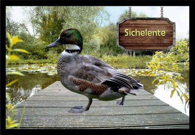 Fußmatte Schmutzfangmatte Ziergeflügel Sichelente F2389 60x40 cm