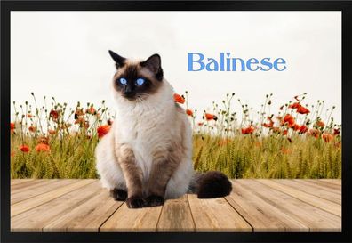 Fußmatte Schmutzfangmatte Katze Rassekatze Balinese F1208 60x40 cm