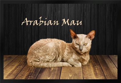 Fußmatte Schmutzfangmatte Katze Rassekatze Arabian Mau F1206 75x50 cm