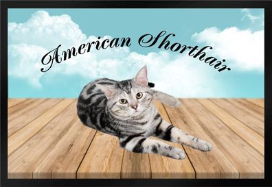Fußmatte Schmutzfangmatte Katze Rassekatze American Shorthair F1204 75x50 cm