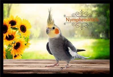 Fußmatte Schmutzfangmatte Ziergeflügel Nymphensittich F2386 75x50 cm