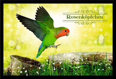 Fußmatte Schmutzfangmatte Ziergeflügel Rosenköpfchen F2387 60x40 cm