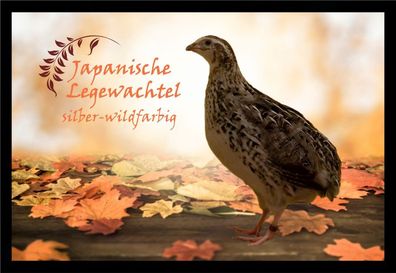 Fußmatte Schmutzfangmatte Wachtel Jap. Legewachtel silber wildf. F2361 60x40 cm
