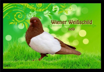 Fußmatte Schmutzfangmatte Tauben Wiener Weißschild gelb F2354 60x40 cm