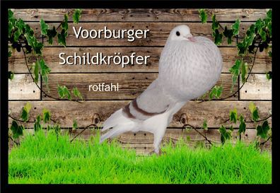 Fußmatte Schmutzfangmatte Tauben Vooorburger Schildkröpfer rotfahl F2345 60x40 c