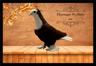 Fußmatte Schmutzfangmatte Tauben Thüringer Weißlatz rot F2334 75x50 cm