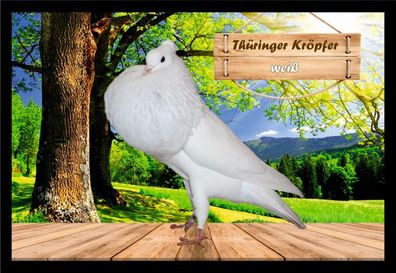 Fußmatte Schmutzfangmatte Tauben Thüringer Kröpfer weiß F2315 60x40 cm