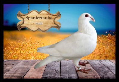 Fußmatte Schmutzfangmatte Tauben Spaniertaube weiß F2255 60x40 cm