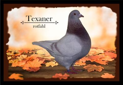 Fußmatte Schmutzfangmatte Tauben Texaner rotfahl F2300 75x50 cm