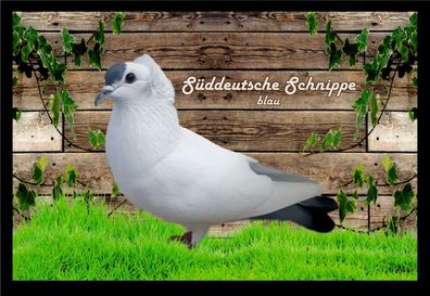 Fußmatte Schmutzfangmatte Tauben Süddt. Schnippe blau F2287 60x40 cm