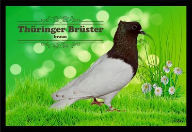 Fußmatte Schmutzfangmatte Tauben Thüringer Brüster braun F2304 75x50 cm