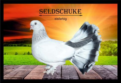 Fußmatte Schmutzfangmatte Tauben Seldschuke eisfarbig F2245 75x50 cm