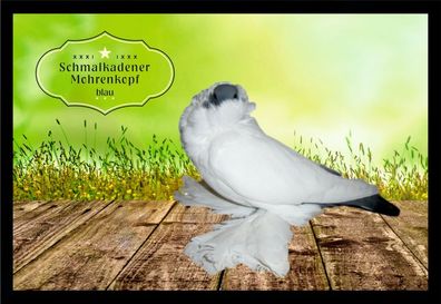 Fußmatte Schmutzfangmatte Tauben Schmalkaldener Mohrenkopf blau F2238 75x50 cm