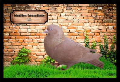 Fußmatte Schmutzfangmatte Tauben Schmöllner Trommeltaube gelb F2241 60x40 cm