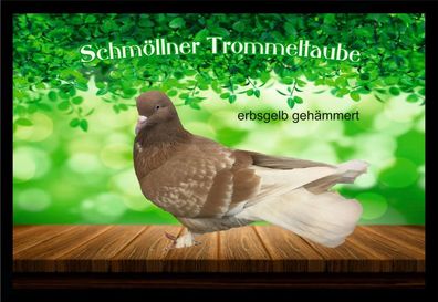 Fußmatte Schmutzfangmatte Tauben Schmöllner Trommeltaube erbsgelb geh. F2239 75x