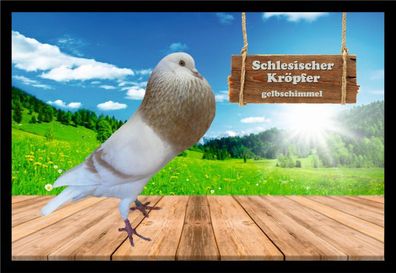 Fußmatte Schmutzfangmatte Tauben Schles. Kröpfer gelbschimmel F2232 75x50 cm