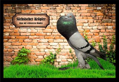 Fußmatte Schmutzfangmatte Tauben Sächs. Kröpfer blau m.s.B. F2225 60x40 cm