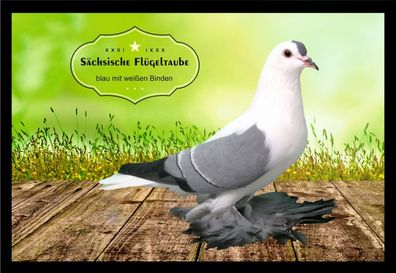 Fußmatte Schmutzfangmatte Tauben Sächs. Flügeltaube blau m.w.B. F2219 75x50 cm