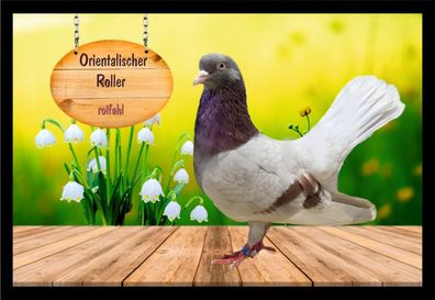Fußmatte Schmutzfangmatte Tauben Orientalischer Roller rotfahl F2205 75x50 cm
