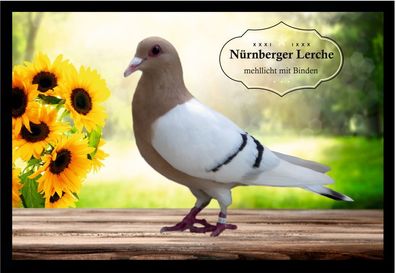 Fußmatte Schmutzfangmatte Tauben Nürnberger Lerche mehllicht m. B. F2199 75x50 c
