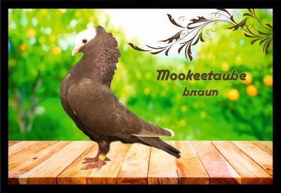 Fußmatte Schmutzfangmatte Tauben Mookeetaube braun F2188 60x40 cm