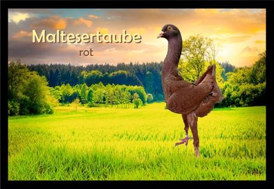 Fußmatte Schmutzfangmatte Tauben Maltesertaube rot F2172 75x50 cm