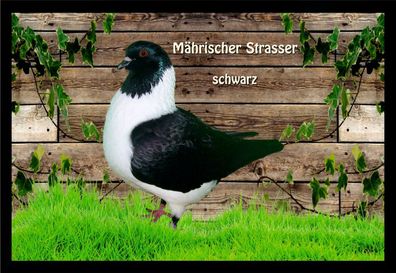 Fußmatte Schmutzfangmatte Tauben Mährischer Strasser schwarz F2171 75x50 cm