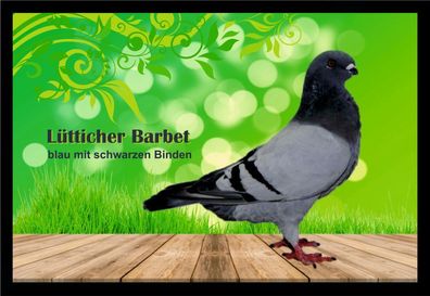 Fußmatte Schmutzfangmatte Tauben Lütticher Barbet blau m.s.B. F2167 60x40 cm