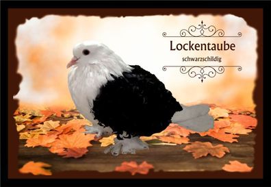Fußmatte Schmutzfangmatte Tauben Lockentaube schwarzschildig F2163 60x40 cm