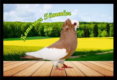 Fußmatte Schmutzfangmatte Tauben Komorner Tümmler gelb F2150 75x50 cm