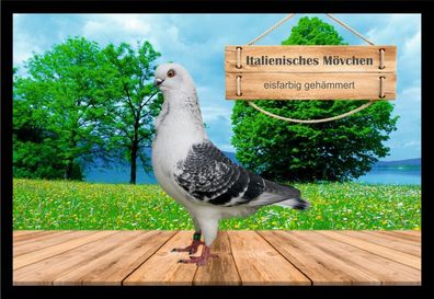 Fußmatte Schmutzfangmatte Tauben Italienisches Mövchen eisf. geh. F2142 60x40 cm