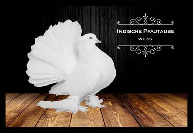 Fußmatte Schmutzfangmatte Tauben Indische Pfautaube weiß F2140 60x40 cm